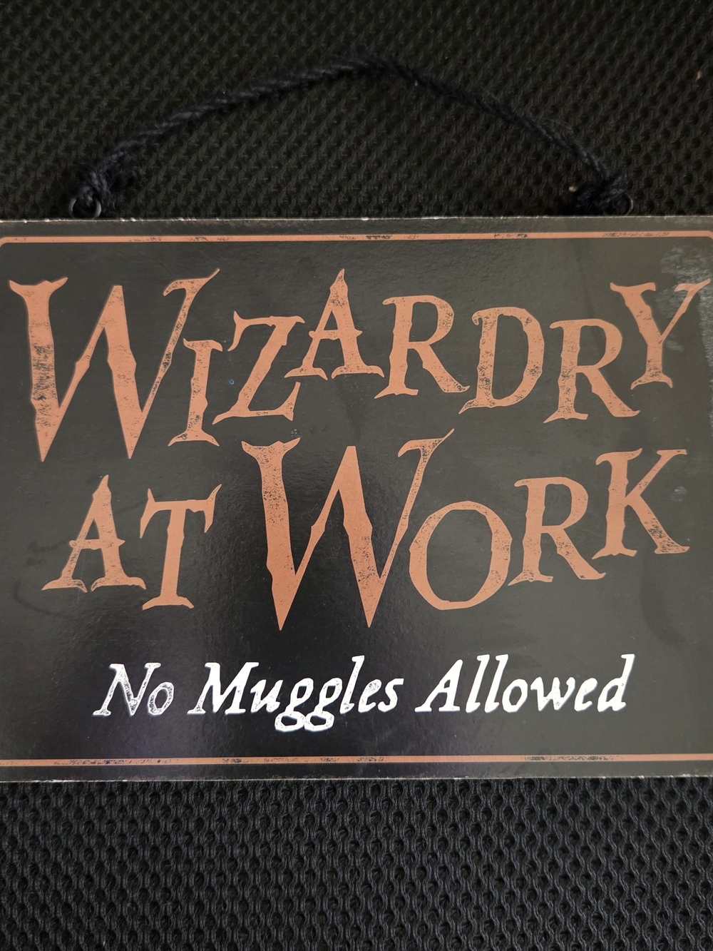 Harry Potter Wood Hanging Sign. Double sided